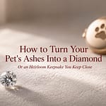 A brilliant-cut pet memorial diamond resting on pale gray velvet in warm golden light with a softly blurred heirloom paw-print locket behind it, under the title How to Turn Your Pet's Ashes Into a Diamond.