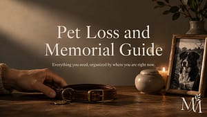 Pet Memorial Guide: How to Honor a Pet After Loss (2026) Pet parent's hand resting on a worn dog collar beside a framed pet photo and a small ceramic memorial keepsake in warm afternoon light
